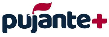 Imagen de PUJANTE+