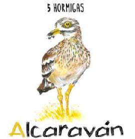 Imagen de 5 HORMIGAS Alcaraván