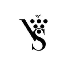 Imagen de VS