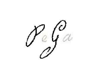 Imagen de PEGA