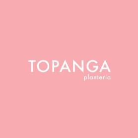 Imagen de TOPANGA plantería