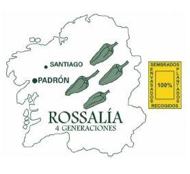 Imagen de ROSSALÍA 4 GENERACIONES SANTIAGO PADRÓN SEMBRADOS ENVASADOS RECOGIDOS PLANTADOS 100%