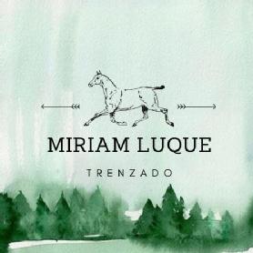 Imagen de Trenzado Miriam Luque
