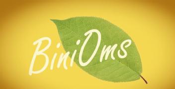 Imagen de BiniOms