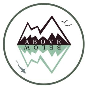 Imagen de ABOVE AND BELOW