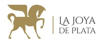 Imagen de LA JOYA DE PLATA