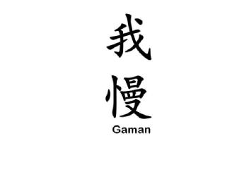 Imagen de GAMAN