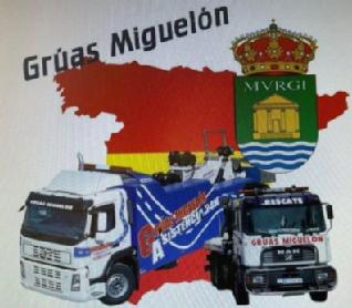 Imagen de GRUAS MIGUELON MVRGI