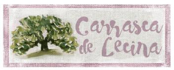 Imagen de Carrasca de Lecina