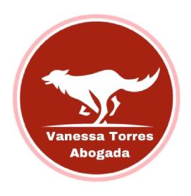 Imagen de Vanessa Torres Abogada