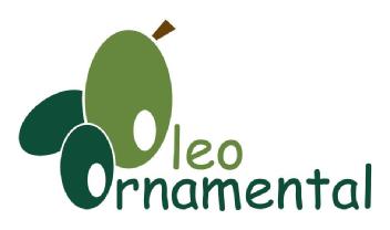 Imagen de OLEO ORNAMENTAL