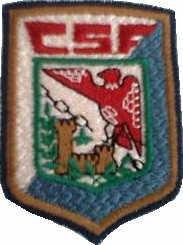 Imagen de CSF