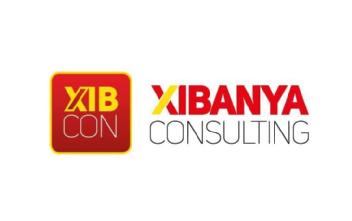 Imagen de XIB CON XIBANYA CONSULTING