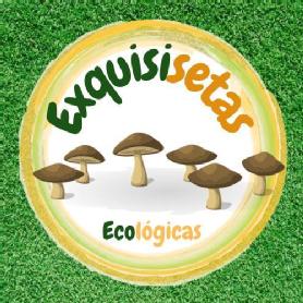 Imagen de Exquisisetas Ecológicas