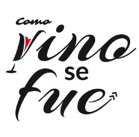 Imagen de COMO VINO SE FUE