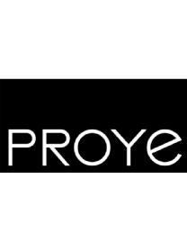 Imagen de PROYE