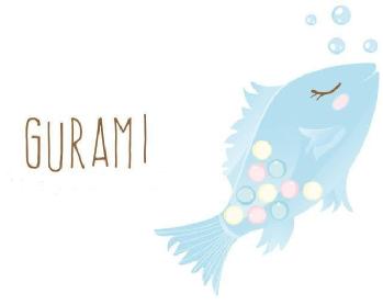 Imagen de GURAMI