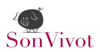 Imagen de SON VIVOT