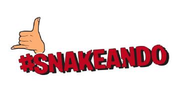 Imagen de #SNAKEANDO
