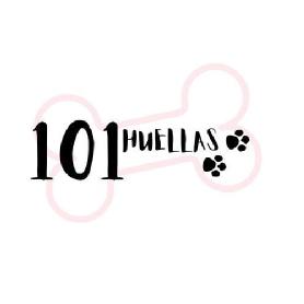 Imagen de 101 HUELLAS