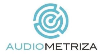Imagen de Audiometriza