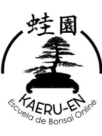 Imagen de KAERU-EN Escuela de Bonsai Online