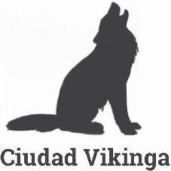 Imagen de CIUDAD VIKINGA