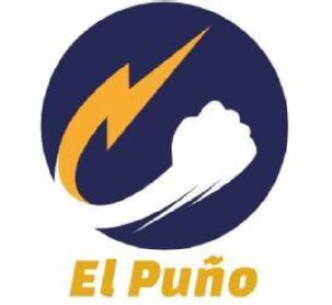 Imagen de El Puño
