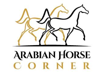 Imagen de ARABIAN HORSE CORNER