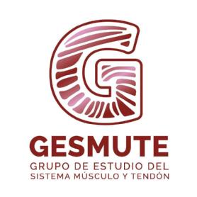 Imagen de G GESMUTE GRUPO DE ESTUDIO DEL SISTEMA MÚSCULO Y TENDÓN