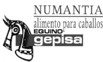 Imagen de NUMANTIA ALIMENTO PARA CABALLOS EQUINO GEPISA
