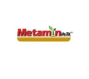Imagen de METAMIN MAX