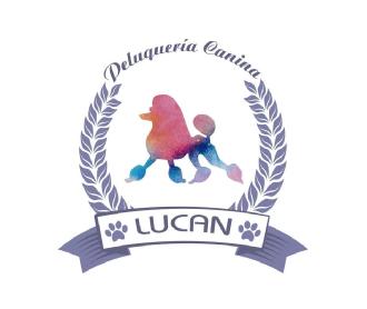 Imagen de Peluquería Canina LUCAN