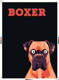 Imagen de BOXER