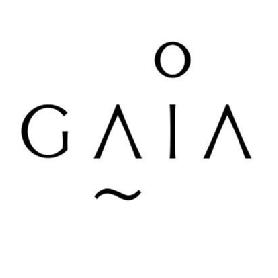 Imagen de GAIA