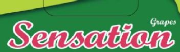 Imagen de SENSATION GRAPES
