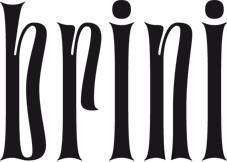 Imagen de BRINI