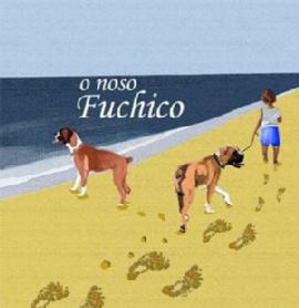 Imagen de O NOSO FUCHICO