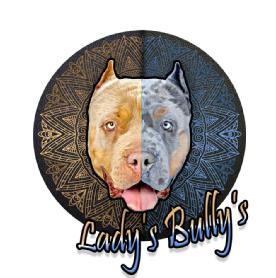 Imagen de Lady's Bully's