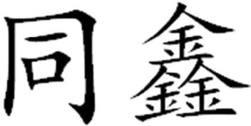 Imagen de TONG XIN., FIG