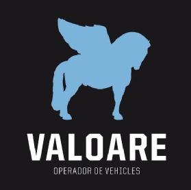 Imagen de VALOARE OPERADOR DE VEHICLES