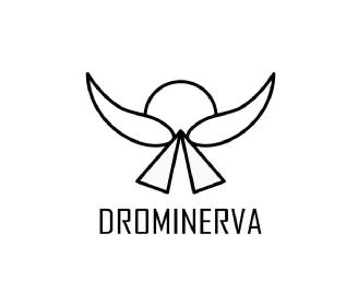 Imagen de DROMINERVA