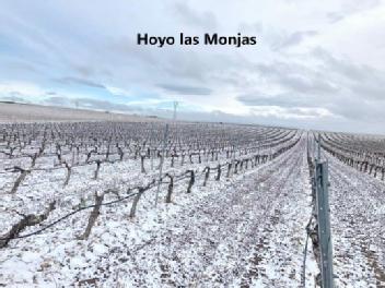 Imagen de Hoyo las Monjas