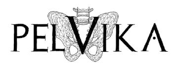 Imagen de LETRAS Y DIBUJO DE UNA PELVIS