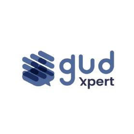 Imagen de gud xpert