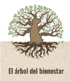 Imagen de El árbol del bienestar