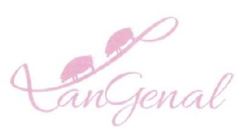 Imagen de LANGENAL
