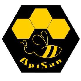Imagen de APISAN