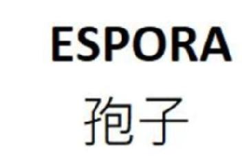 Imagen de ESPORA