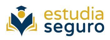 Imagen de Estudia Seguro